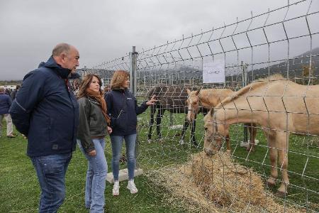 Imagen Ganado, tradición y sabores de la provincia conquistan en Navafría a vecinos y visitantes en la novena parada de la Caravana de...